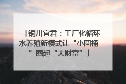 铜川宜君：工厂化循环水养殖新模式让“小圆桶”圈起“大财富”